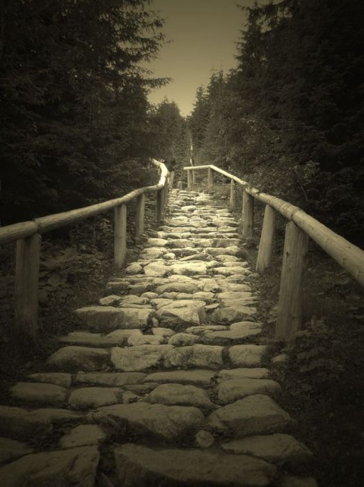 gorska_droga.jpg